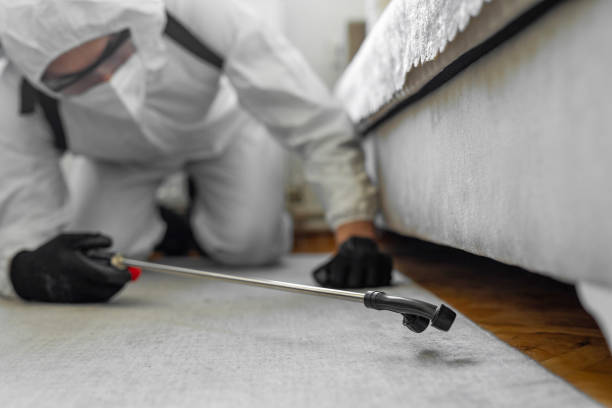 Professional Bed Bug Control technician working in Lake Shore, MN